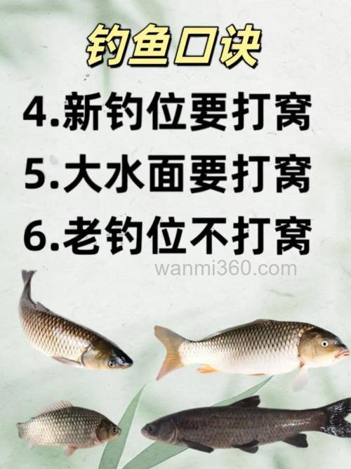 野钓打窝的方法和技巧有哪些?
