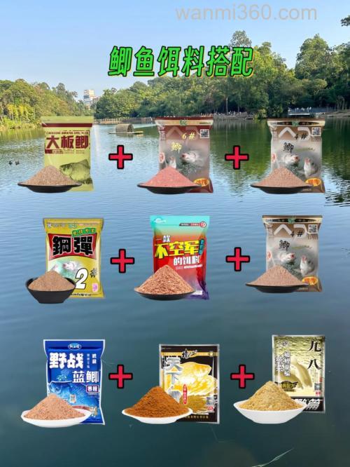 钓鲫鱼窝料推荐？