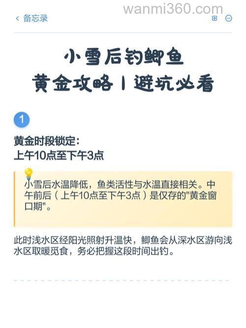 小雪钓鲫鱼的正确方法？