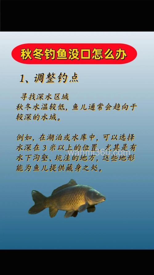 冬天钓鱼不开口怎么解决?