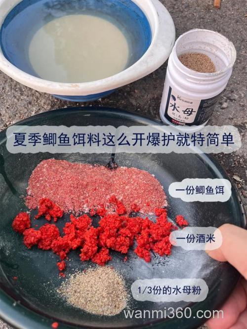 钓鲫鱼饵料怎样搭配酒米?