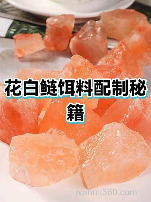 怎么制着花白鲢饵料?