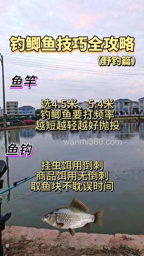 秋季野河如何钓鲫鱼?