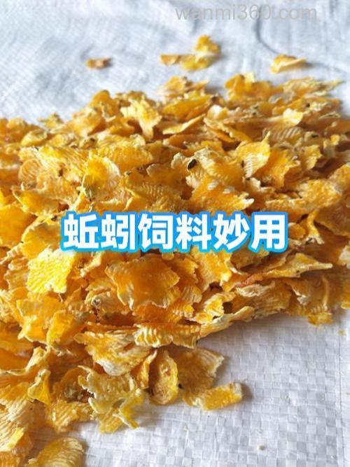 蚯蚓高蛋白原料怎么做?