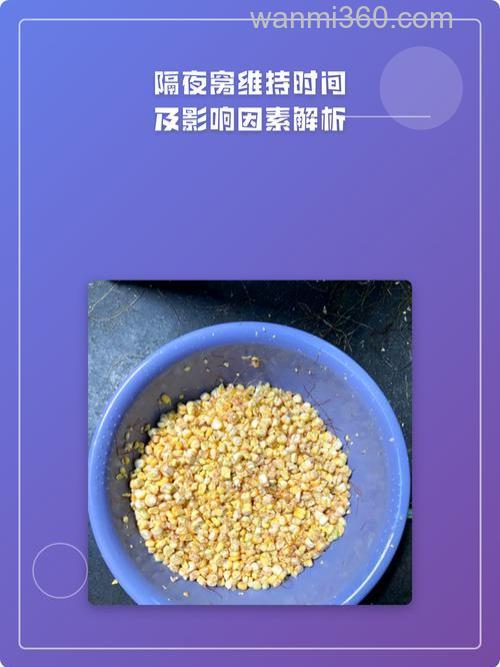 秋季隔夜窝打多少合适?一个窝打1000克左右!