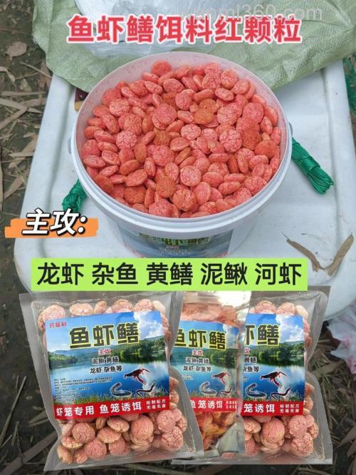 用什么诱饵捕龙虾和黄鳝