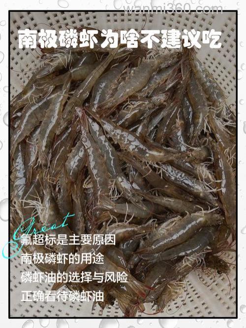 南极磷虾每年被吃掉3亿吨,为何一直吃不完?
