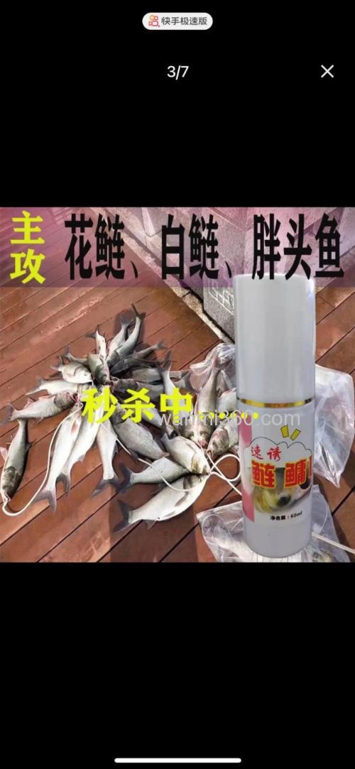 钓鲢鳙是用酸腥味还是草莓味好?