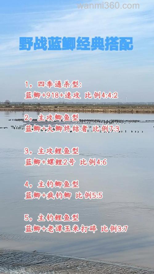 野战蓝鲫和不空军如何搭配?