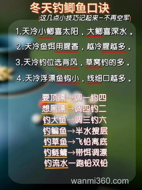 冬季野钓大鲫鱼的技巧分析