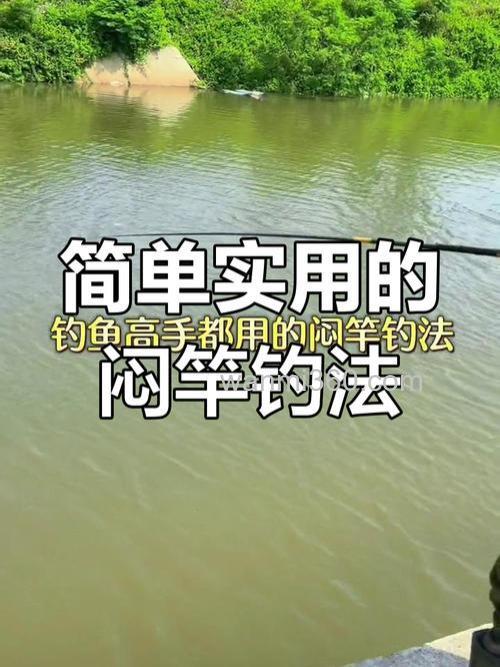 钓闷竿一般用多长的竿?