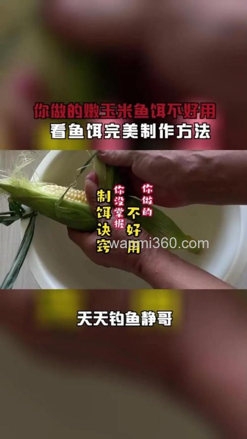 玉米怎样做鱼饵？