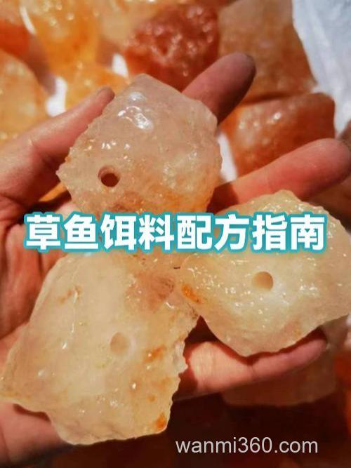 怎样制作草鱼饵
