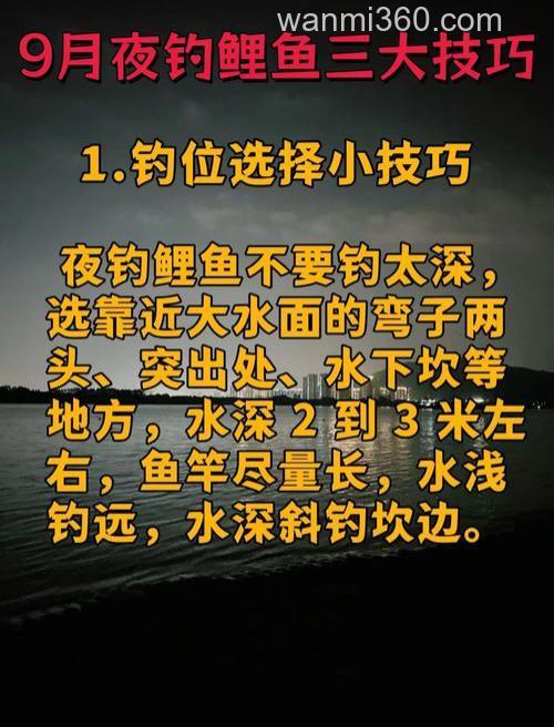 秋季夜钓鲤鱼怎么才好钓,掌握以下几点钓鱼不难