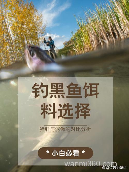 用泥鳅当鱼饵钓黑鱼的技巧分析