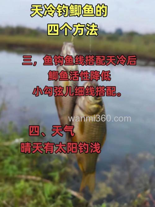 气温下降至氐温13度高温17度鲫鱼怎么钓？