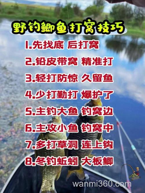 野钓鲫鱼最佳打窝方法是什么？