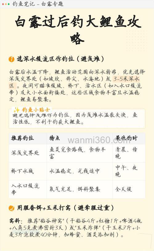 白露以后钓鲤鱼的饵料最佳配方？