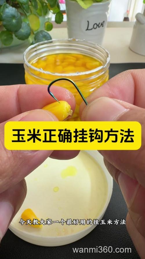 鲜玉米粒钓鱼泡制方法?