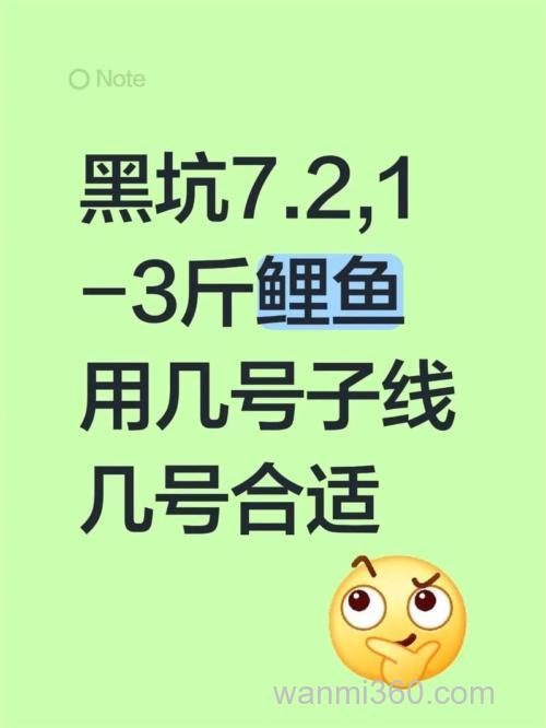 3斤鲤鱼用几号子线?