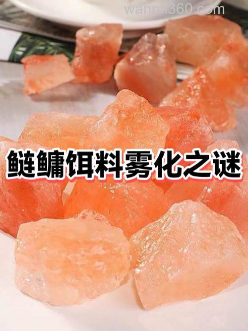 浮钓鲢鱼的饵料要不要家拉丝粉?不家雾化太快怎么办?