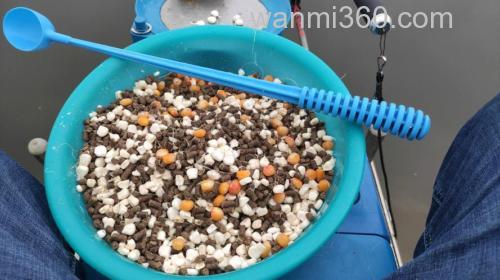 玉米面打窝全解析:好用与否及打窝技巧