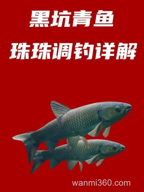 黑坑珠珠钓草鱼绝招?