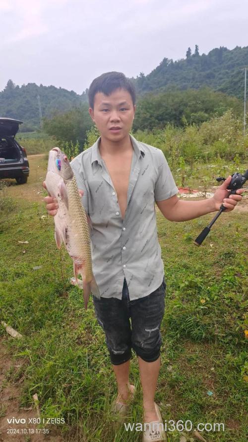 麦鲮鱼最有效的钓法是什么?