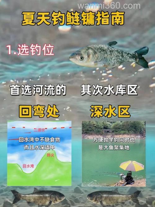 鳊鱼的钓法技巧及钓位选择