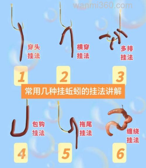 蚯蚓如何钓鱼?