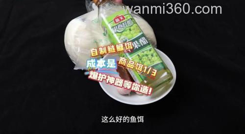 鲢鱼饵料 自制