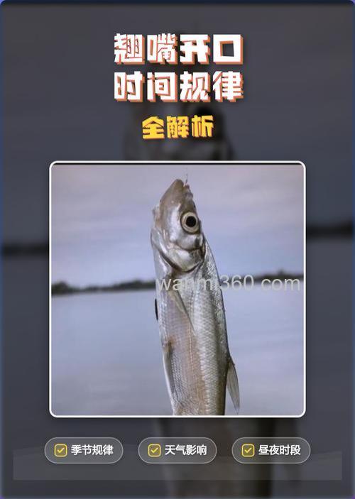 翘嘴一天最佳开口时间什么时候?
