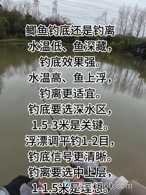请问经常竞技比赛钓鲫鱼的问题