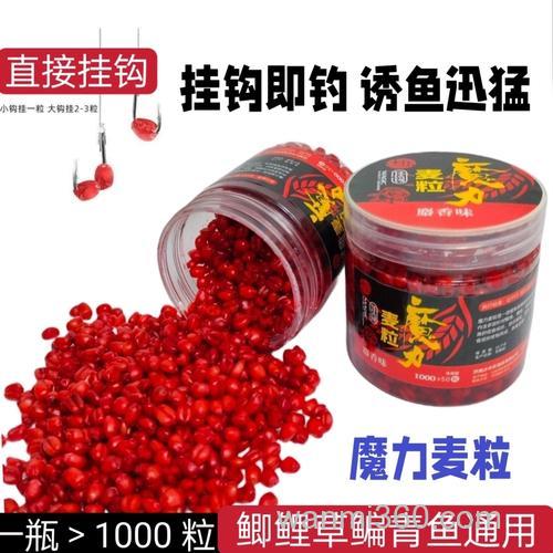 小麦粒怎样做钓鱼饵料