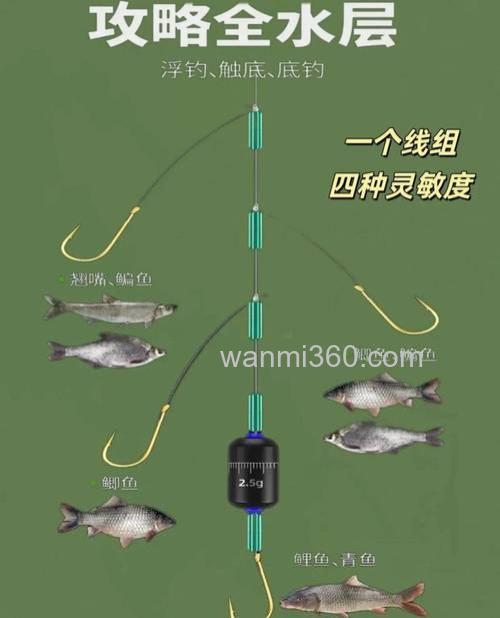 野钓鲫鱼几号线组最合适?