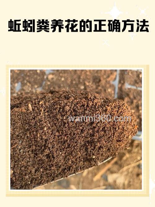 豆腐渣养蚯蚓配方？