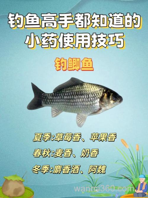 钓鱼小药使用的技巧有哪些?