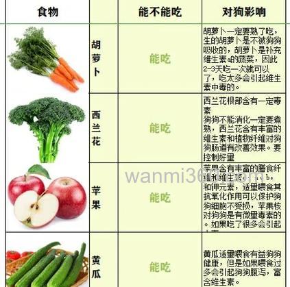 肉和蔬菜哪个更容易消化