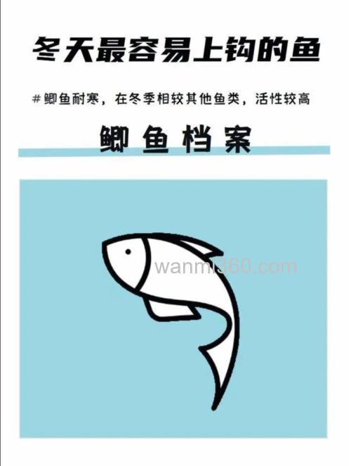 鱼最爱吃什么会上钩