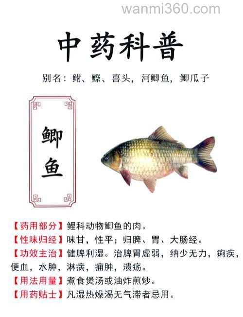 46号鲫鱼加什么可以通杀？