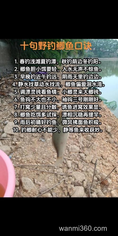 春谷雨过后钓鲫鱼,掌握好这四个技巧,两小时的渔获顶别人一天