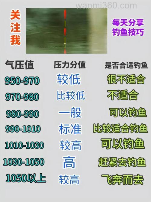 溶氧量低如何钓鱼?