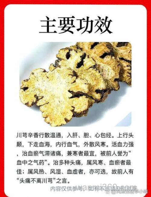 川芎酒钓鲤鱼几月份最好？