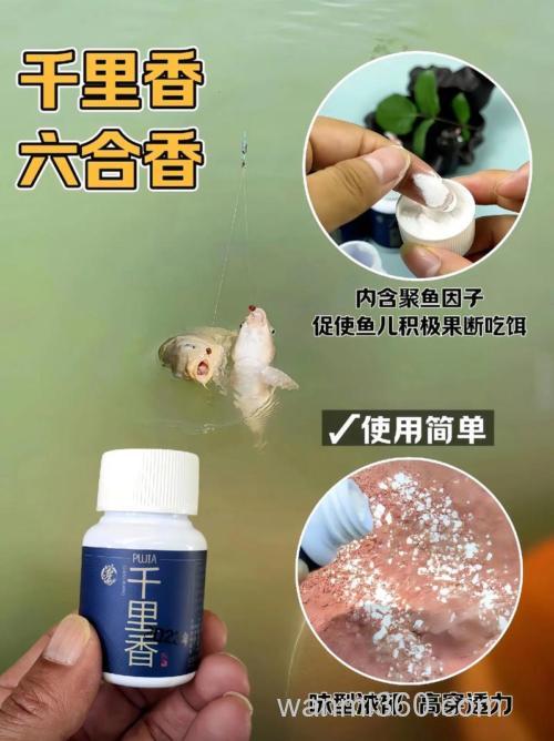 六合香钓鱼小药攻略？