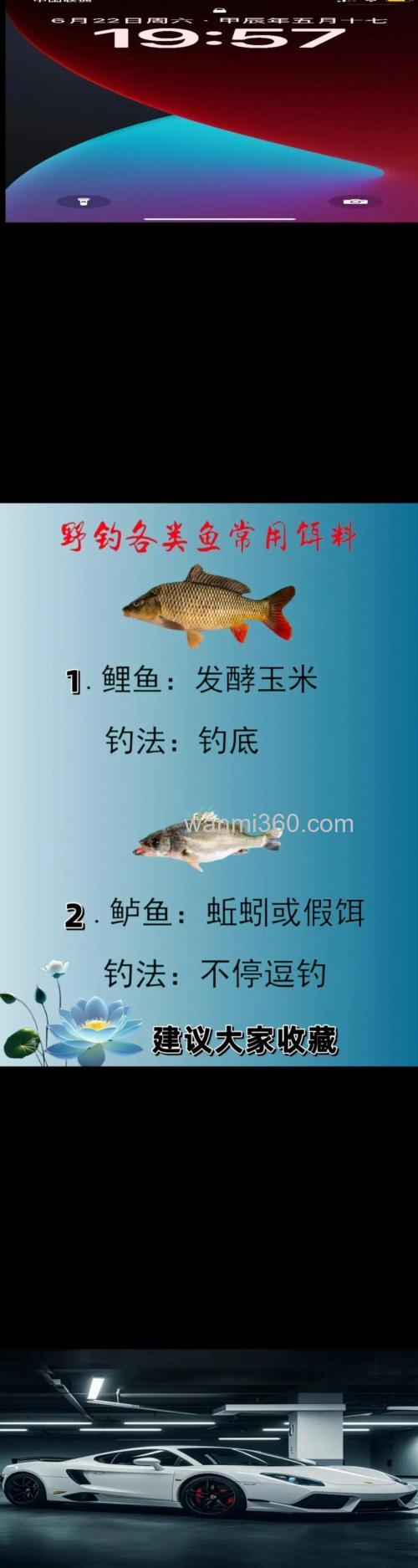 诱饵的诱鱼是哪些因素呢?