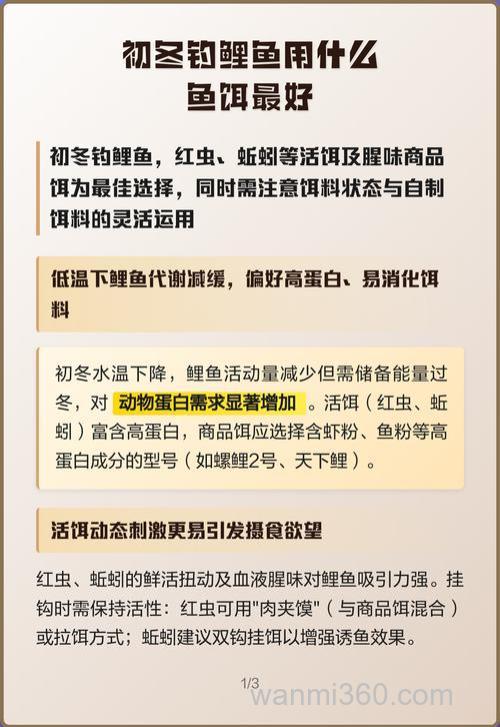 钓鲤鱼用什么做鱼饵好?