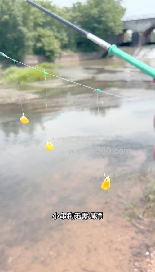 初夏如何用海杆串钩在江河夜钓鲤鱼