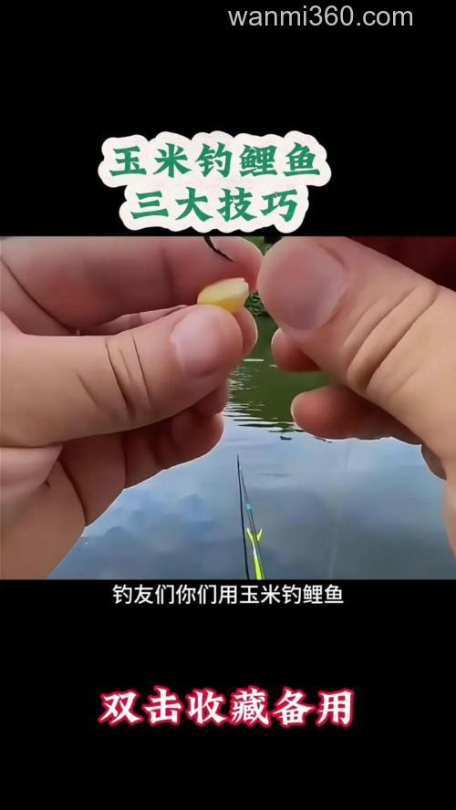 夏天用玉米钓鲤鱼的最佳方法？