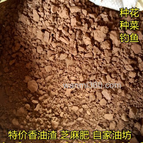 香油和面钓鱼绝密配方?