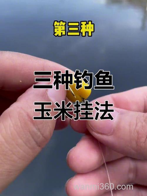 玉米钓鱼技巧有哪些?